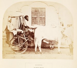 Guddees, Moslims, Rajpootana, uit Het Volk van India, door J. Forbes Watson, gepubliceerd 1868